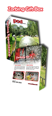 Zorbing Gift Box